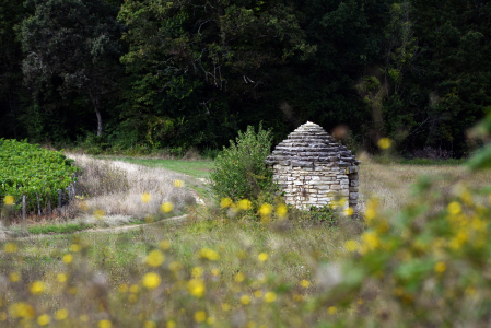 Cadole en bourgogne