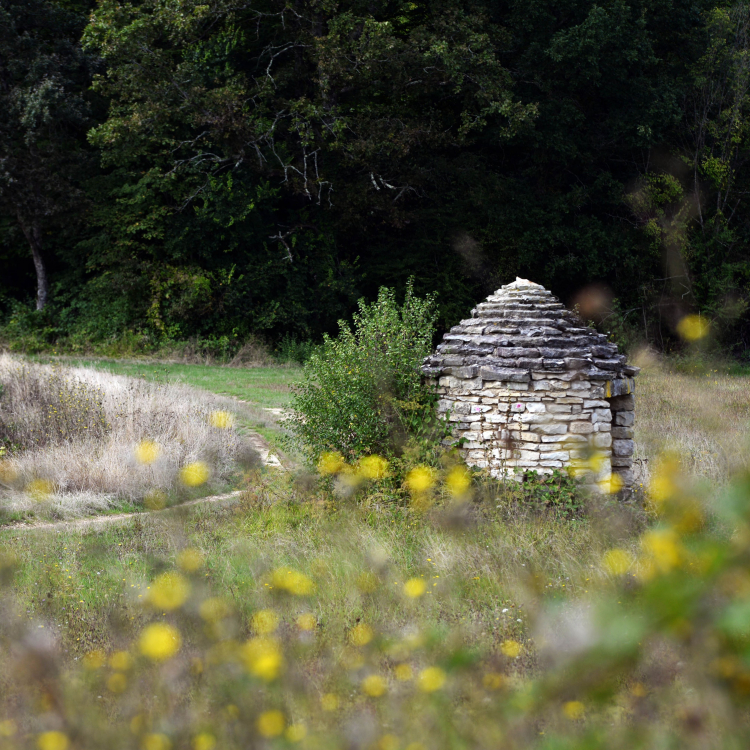 Cadole della borgogna