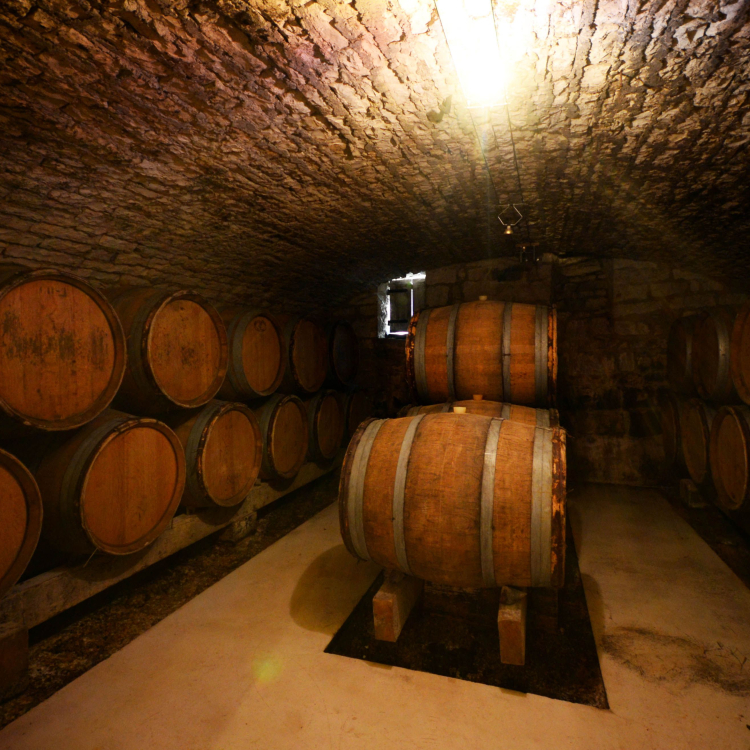 MOUTARD cellar