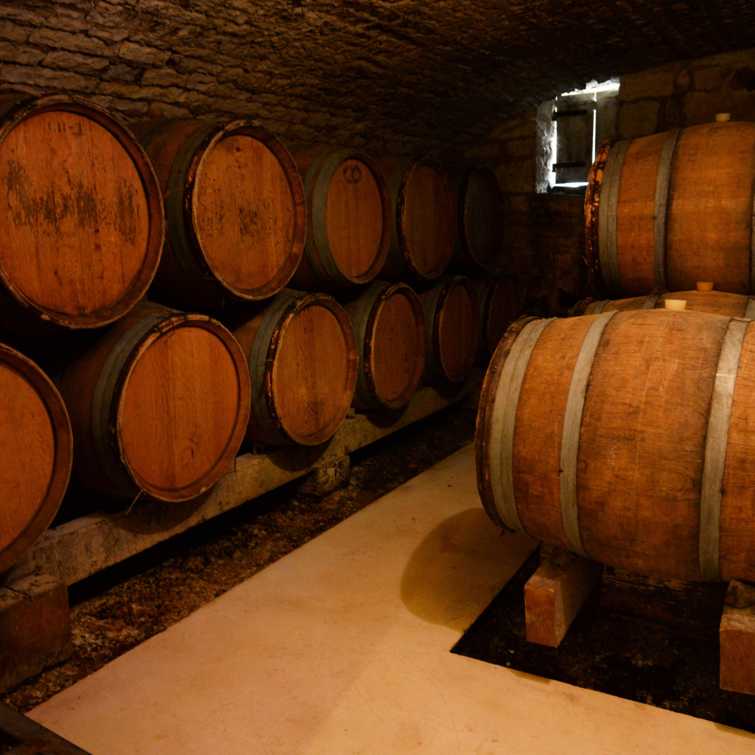 MOUTARD family cellar